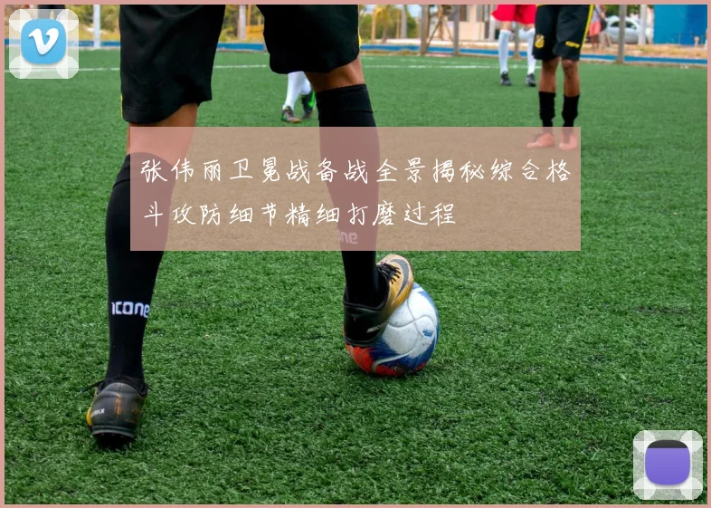张伟丽卫冕战备战全景揭秘综合格斗攻防细节精细打磨过程