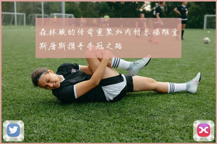 森林狼的传奇重聚加内特乐福维金斯唐斯携手夺冠之路